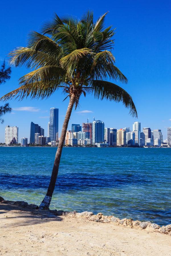 Enchanting Cozy Apartment 10 Min Away From Airport, Calle 8, Brickell, Coral Gables, The Beach And More! Miami Bagian luar foto