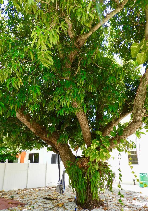 Enchanting Cozy Apartment 10 Min Away From Airport, Calle 8, Brickell, Coral Gables, The Beach And More! Miami Bagian luar foto